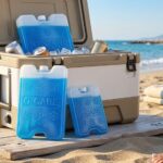 Generic Ice gel pack 1000g from Sionel IN2 packs | ICE GEL FOR ICE TANK